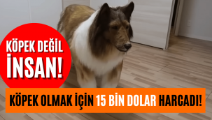 Japonya'daki 'köpek adam' görenleri şaşkına çevirdi!