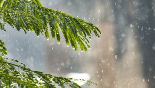 Kayseri'de Pazar günü yağış bekleniyor