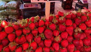 Kayseri'deki semt pazarlarında bu haftanın fiyatları nasıl?