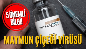 Maymun çiçeği virüsü hakkında bilinmesi gereken 5 önemli bilgi!