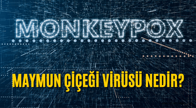 Maymun çiçeği virüsü nedir, nasıl bulaşır, belirtileri nelerdir, Türkiye'de görüldü mü?