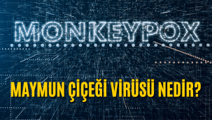 Maymun çiçeği virüsü nedir, nasıl bulaşır, belirtileri nelerdir, Türkiye'de görüldü mü?