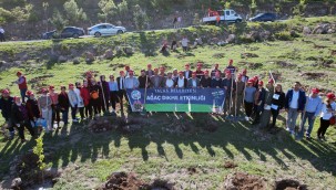 Talas personelinden Ali Dağı'nda fidan dikimi