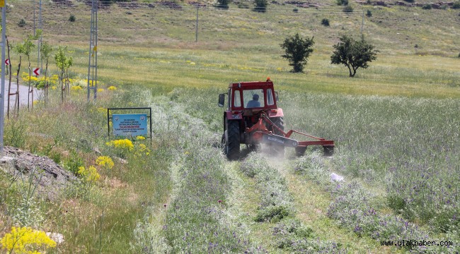 Çiftçi Belediye Talas, hasada başladı
