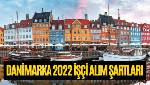 Danimarka işçi alımı 2022 başvuru nasıl yapılır?
