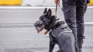 Diyarbakır'da dev Narko-Terör operasyonu!