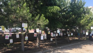 Doğa Dostu Çocuklar Kitap Okuyor