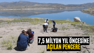 Kayseri Büyükşehir'in 7,5 milyon yıllık fosil çalışmaları dünyanın ilgisini çekiyor