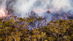 Marmaris'teki orman yangını kontrol altına alındı