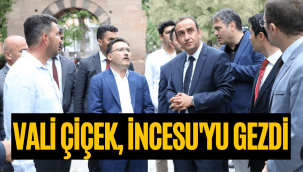 Vali Çiçek: Bütün öğrencilerin İncesu'yu görmesi için talimatım çalışmam olacak