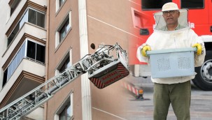 Arılar oğul verdi, belediye duvardan indirdi