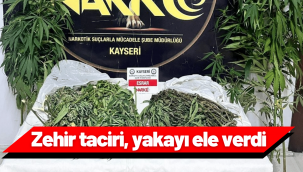 Bahçesinde Hint keneviri yetiştiren zehir taciri yakalandı