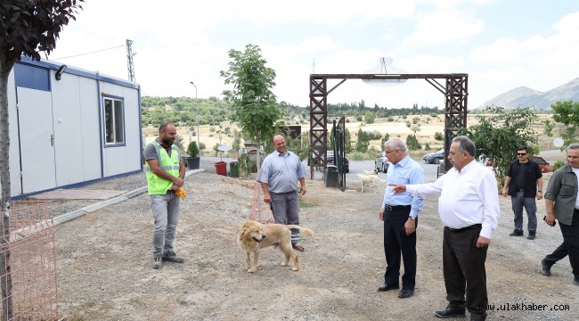 Başkan Yalçın, Patievi'nde minik dostlarla