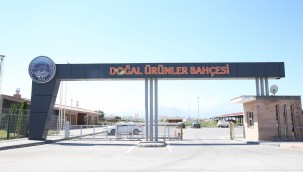 Büyükşehir'in "Doğal Ürünler Bahçesi Pazarı" açılıyor