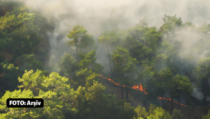 Datça'daki orman yangını kontrol altında 
