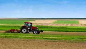 Ekilmeyen tarlayı devlet kiralayacak