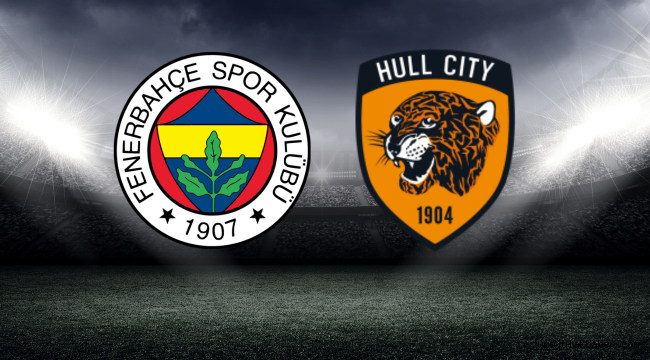 Fenerbahçe Hull City