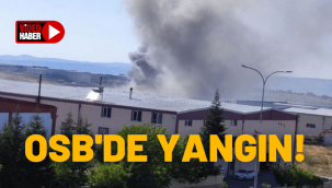 Mimarsinan Organize Sanayi Bölgesi'nde yangın