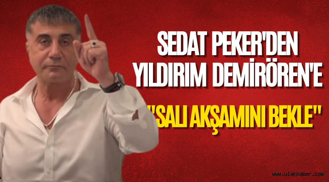 Sedat Peker'den Yıldırım Demirören'e: Pambıkören Salı akşamını bekle…