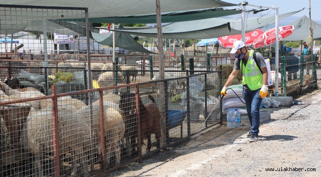 Talas'ın Kurban Pazarı'na tam not