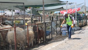 Talas'ın Kurban Pazarı'na tam not