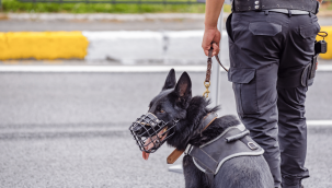 Uyuşturucu madde operasyonunda 2 gözaltı