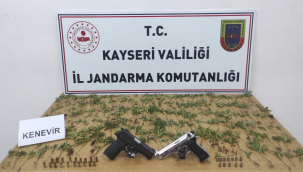 Yasadışı kenevir ekimi yapan 2 kişiye gözaltı