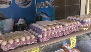 Yumurta fiyatları neden yükseliyor?