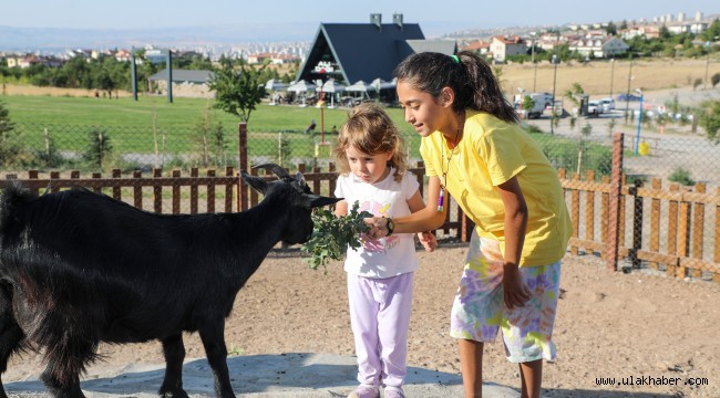 Çocuklara '360 Mini Çiftlik'te hayvan sevgisi aşılanıyor