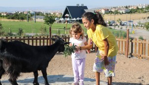 Çocuklara '360 Mini Çiftlik'te hayvan sevgisi aşılanıyor