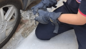 İtfaiye ekipleri araç motoruna giren kediyi kurtardı 