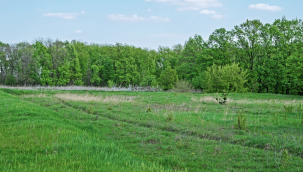 Kayseri'nin 2 ilçesinde arazi toplulaştırması yapılacak