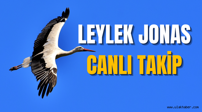 Leylek Jonas nerede nasıl takip edilir, canlı takip numarası uygulaması nedir?