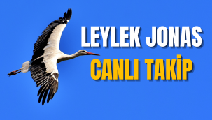 Leylek Jonas nerede nasıl takip edilir, canlı takip numarası uygulaması nedir?