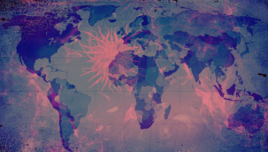 Maymun çiçeği 6 kıtaya yayıldı