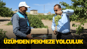 Başkan İlmek: İncesu'da üzümün pekmez yolculuğu başladı