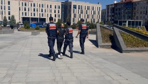 DEAŞ operasyonunda 1 kişi tutuklandı