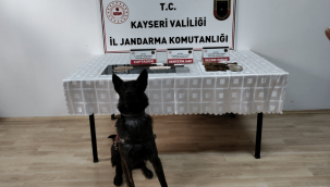 Jandarmadan uyuşturucu operasyonu: 1 gözaltı