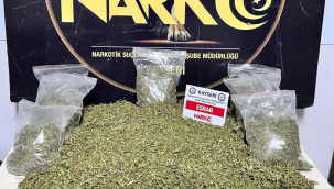 Uyuşturucu madde operasyonunda 2 gözaltı 