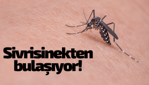 Yeni korku: Batı Nil Virüsü!