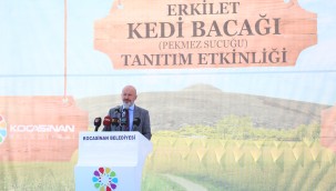 Başkan Çolakbayrakdar'dan Erkilet Kedi Bacağı Etkinliğine davet