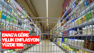 ENAG'a göre yıllık enflasyon yüzde 186'ya yükseldi