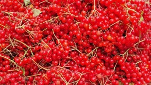 Gilaburu yüzde 38 zamlandı