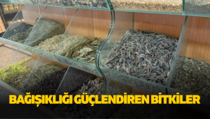 Kış aylarında bağışıklığı güçlendiren bitkiler