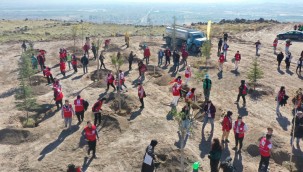 Kocasinan Belediyesi, Kızılay Haftası'nı ağaçlarla taçlandırdı