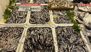 Bol çeşit ve uygun fiyat, balığa talebi arttırdı