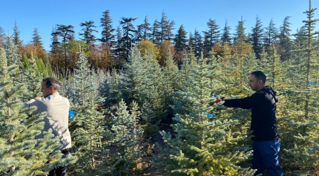 Büyükşehir, topladığı 1 ton tohumu yeniden toprakla buluşturdu