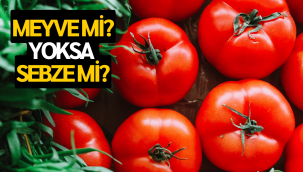 Domates meyve mi sebze mi?