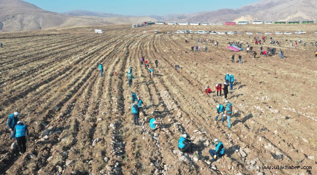 Kayseri'nin denizinde, 3 yılda 12 milyon ağaç toprakla buluşacak!