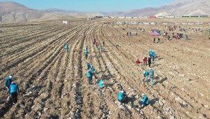 Kayseri'nin denizinde, 3 yılda 12 milyon ağaç toprakla buluşacak!